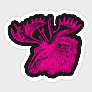 Pink Moose Sticker